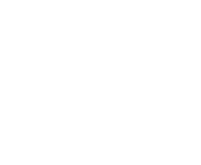 BAYAN GOŁ